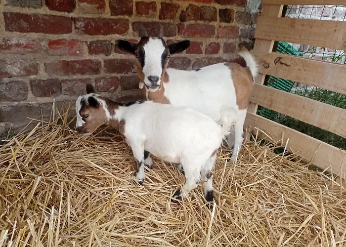 Gite A La Ferme Chez Magali
